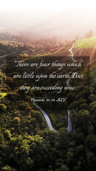 Picture 03 - Proverbs 30:24 ASV Mobile Phone Wallpaper - There are four things which are little upon the - Mobile Bible Verse Wallpaper