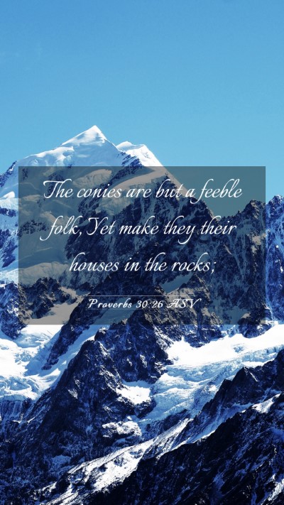 Picture 03 - Proverbs 30:26 ASV Mobile Phone Wallpaper - The conies are but a feeble folk, Yet make they - Mobile Bible Verse Wallpaper