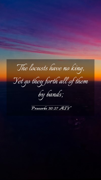 Picture 03 - Proverbs 30:27 ASV Mobile Phone Wallpaper - The locusts have no king, Yet go they forth all - Mobile Bible Verse Wallpaper