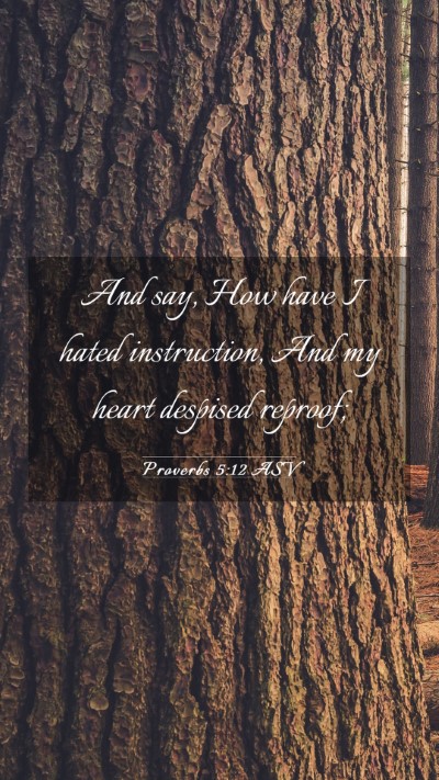Picture 03 - Proverbs 5:12 ASV Mobile Phone Wallpaper - And say, How have I hated instruction, And my - Mobile Bible Verse Wallpaper