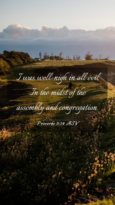 Picture 03 - Proverbs 5:14 ASV Mobile Phone Wallpaper - I was well-nigh in all evil In the midst of the - Mobile Bible Verse Wallpaper