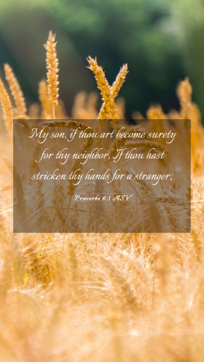 Picture 03 - Proverbs 6:1 ASV Mobile Phone Wallpaper - My son, if thou art become surety for thy - Mobile Bible Verse Wallpaper