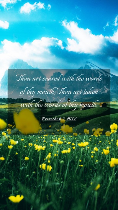 Picture 03 - Proverbs 6:2 ASV Mobile Phone Wallpaper - Thou art snared with the words of thy mouth, Thou - Mobile Bible Verse Wallpaper