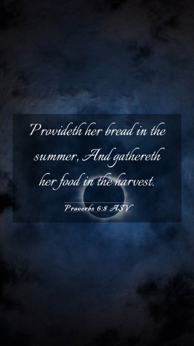 Picture 03 - Proverbs 6:8 ASV Mobile Phone Wallpaper - Provideth her bread in the summer, And gathereth - Mobile Bible Verse Wallpaper