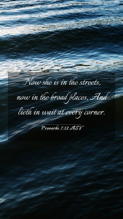 Picture 03 - Proverbs 7:12 ASV Mobile Phone Wallpaper - Now she is in the streets, now in the broad - Mobile Bible Verse Wallpaper