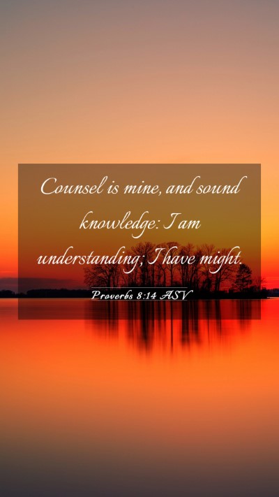 Picture 03 - Proverbs 8:14 ASV Mobile Phone Wallpaper - Counsel is mine, and sound knowledge: I am - Mobile Bible Verse Wallpaper