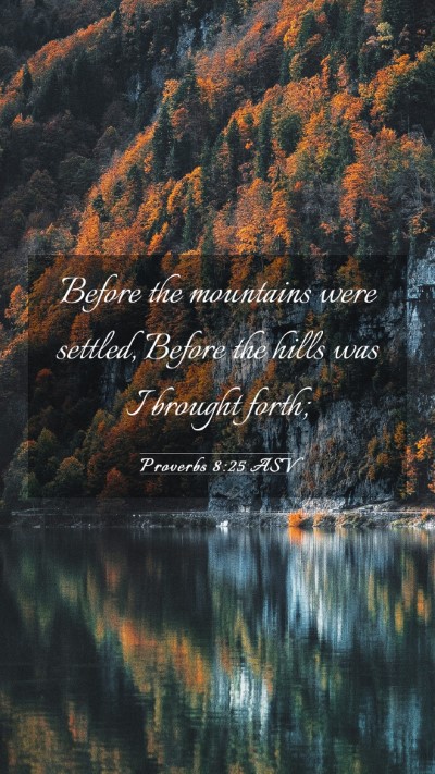 Picture 03 - Proverbs 8:25 ASV Mobile Phone Wallpaper - Before the mountains were settled, Before the - Mobile Bible Verse Wallpaper