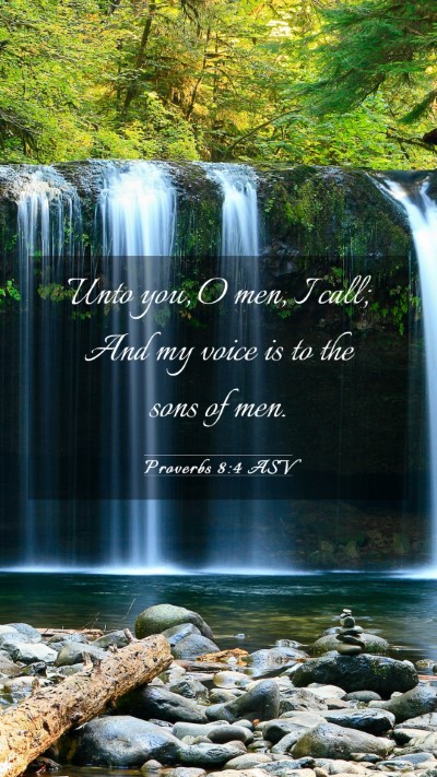 Picture 03 - Proverbs 8:4 ASV Mobile Phone Wallpaper - Unto you, O men, I call; And my voice is to the - Mobile Bible Verse Wallpaper
