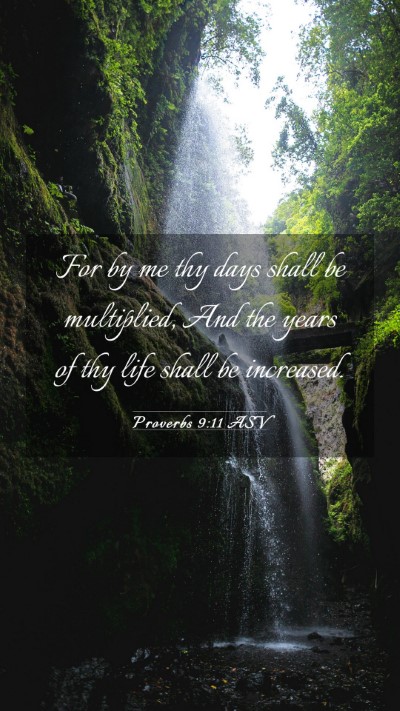Picture 03 - Proverbs 9:11 ASV Mobile Phone Wallpaper - For by me thy days shall be multiplied, And the - Mobile Bible Verse Wallpaper