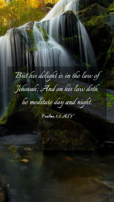 Picture 03 - Psalms 1:2 ASV Mobile Phone Wallpaper - But his delight is in the law of Jehovah; And on - Mobile Bible Verse Wallpaper