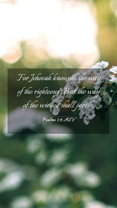 Picture 03 - Psalms 1:6 ASV Mobile Phone Wallpaper - For Jehovah knoweth the way of the righteous; But - Mobile Bible Verse Wallpaper