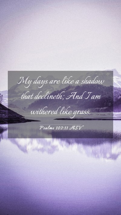 Picture 03 - Psalms 102:11 ASV Mobile Phone Wallpaper - My days are like a shadow that declineth; And I - Mobile Bible Verse Wallpaper