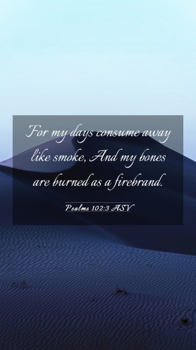 Picture 03 - Psalms 102:3 ASV Mobile Phone Wallpaper - For my days consume away like smoke, And my bones - Mobile Bible Verse Wallpaper
