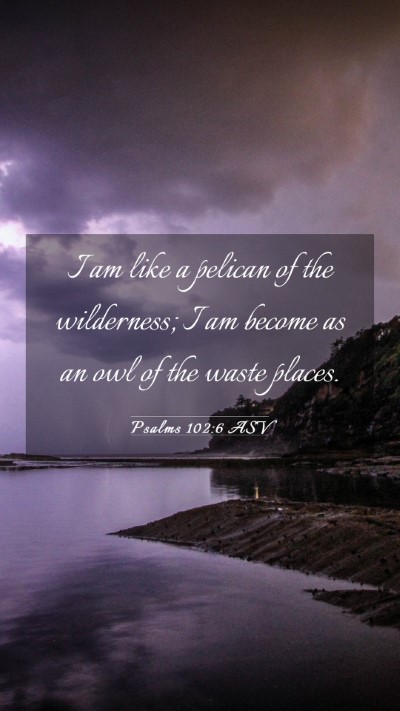Picture 03 - Psalms 102:6 ASV Mobile Phone Wallpaper - I am like a pelican of the wilderness; I am - Mobile Bible Verse Wallpaper