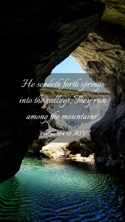 Picture 03 - Psalms 104:10 ASV Mobile Phone Wallpaper - He sendeth forth springs into the valleys; They - Mobile Bible Verse Wallpaper