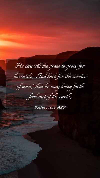 Picture 03 - Psalms 104:14 ASV Mobile Phone Wallpaper - He causeth the grass to grow for the cattle, And - Mobile Bible Verse Wallpaper
