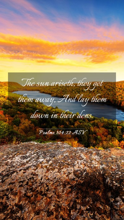 Picture 03 - Psalms 104:22 ASV Mobile Phone Wallpaper - The sun ariseth, they get them away, And lay them - Mobile Bible Verse Wallpaper