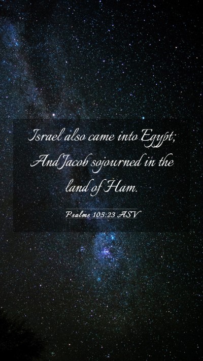 Picture 03 - Psalms 105:23 ASV Mobile Phone Wallpaper - Israel also came into Egypt; And Jacob sojourned - Mobile Bible Verse Wallpaper