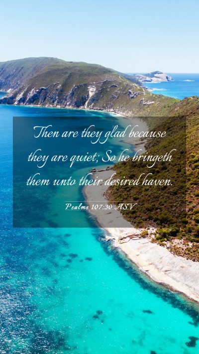 Picture 03 - Psalms 107:30 ASV Mobile Phone Wallpaper - Then are they glad because they are quiet; So he - Mobile Bible Verse Wallpaper