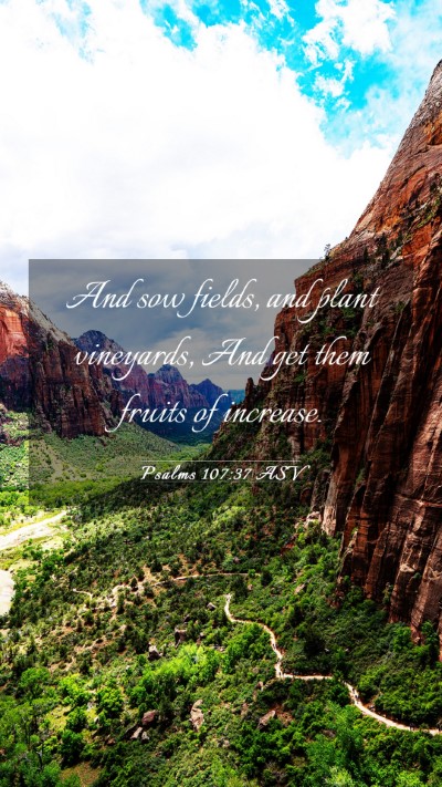 Picture 03 - Psalms 107:37 ASV Mobile Phone Wallpaper - And sow fields, and plant vineyards, And get them - Mobile Bible Verse Wallpaper