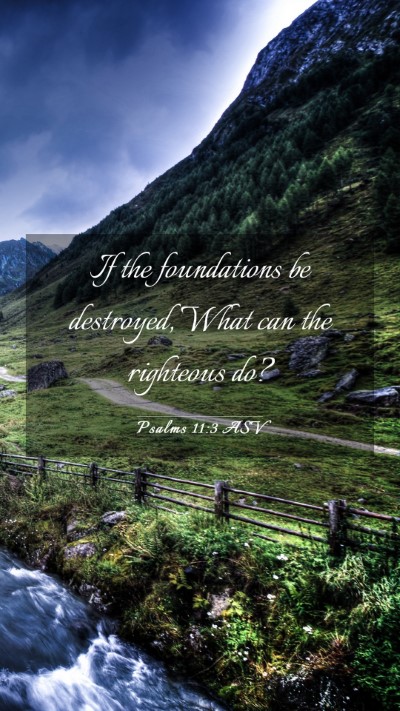 Picture 03 - Psalms 11:3 ASV Mobile Phone Wallpaper - If the foundations be destroyed, What can the - Mobile Bible Verse Wallpaper