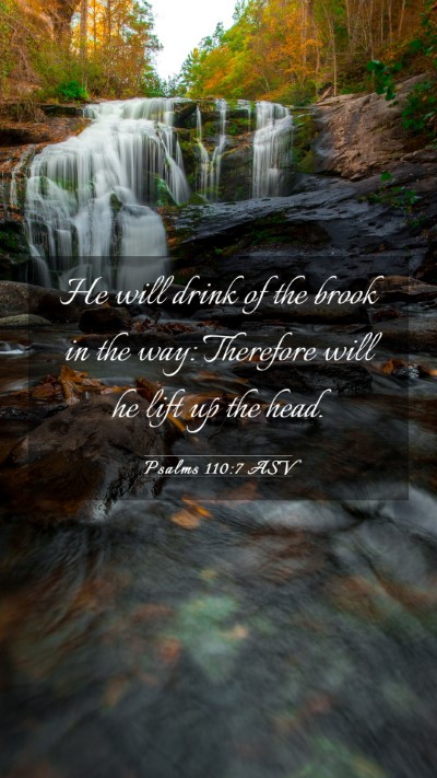 Picture 03 - Psalms 110:7 ASV Mobile Phone Wallpaper - He will drink of the brook in the way: Therefore - Mobile Bible Verse Wallpaper