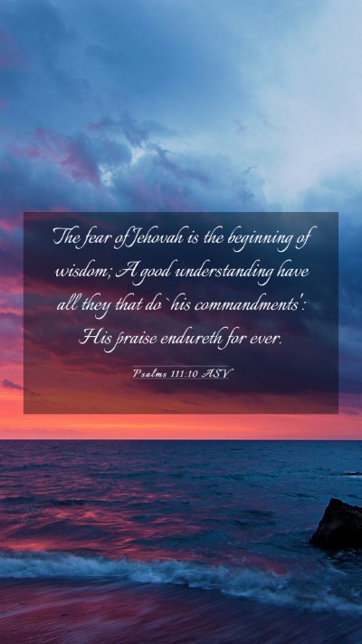 Picture 03 - Psalms 111:10 ASV Mobile Phone Wallpaper - The fear of Jehovah is the beginning of wisdom; A - Mobile Bible Verse Wallpaper
