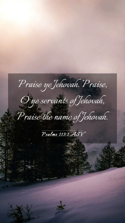 Picture 03 - Psalms 113:1 ASV Mobile Phone Wallpaper - Praise ye Jehovah. Praise, O ye servants of - Mobile Bible Verse Wallpaper