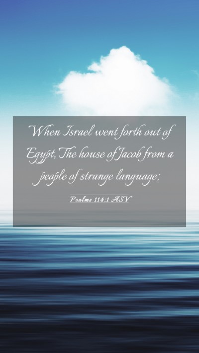 Picture 03 - Psalms 114:1 ASV Mobile Phone Wallpaper - When Israel went forth out of Egypt, The house of - Mobile Bible Verse Wallpaper