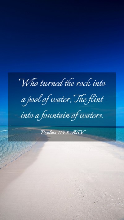 Picture 03 - Psalms 114:8 ASV Mobile Phone Wallpaper - Who turned the rock into a pool of water, The - Mobile Bible Verse Wallpaper
