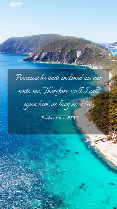 Picture 03 - Psalms 116:2 ASV Mobile Phone Wallpaper - Because he hath inclined his ear unto me, - Mobile Bible Verse Wallpaper