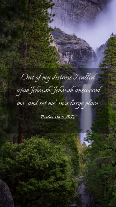Picture 03 - Psalms 118:5 ASV Mobile Phone Wallpaper - Out of my distress I called upon Jehovah: Jehovah - Mobile Bible Verse Wallpaper