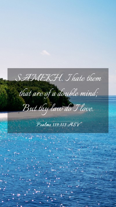 Picture 03 - Psalms 119:113 ASV Mobile Phone Wallpaper - SAMEKH. I hate them that are of a double mind; - Mobile Bible Verse Wallpaper
