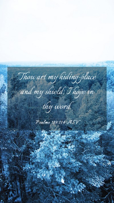 Picture 03 - Psalms 119:114 ASV Mobile Phone Wallpaper - Thou art my hiding-place and my shield: I hope in - Mobile Bible Verse Wallpaper