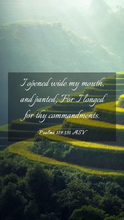 Picture 03 - Psalms 119:131 ASV Mobile Phone Wallpaper - I opened wide my mouth, and panted; For I longed - Mobile Bible Verse Wallpaper