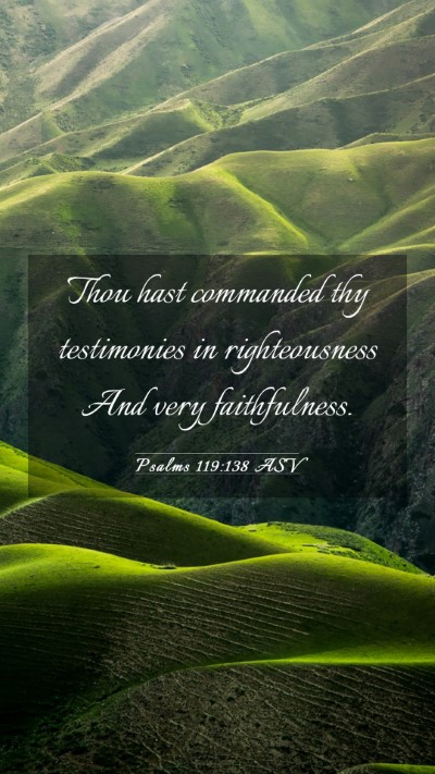 Picture 03 - Psalms 119:138 ASV Mobile Phone Wallpaper - Thou hast commanded thy testimonies in - Mobile Bible Verse Wallpaper