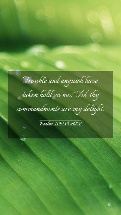 Picture 03 - Psalms 119:143 ASV Mobile Phone Wallpaper - Trouble and anguish have taken hold on me; `Yet' - Mobile Bible Verse Wallpaper
