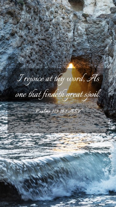 Picture 03 - Psalms 119:162 ASV Mobile Phone Wallpaper - I rejoice at thy word, As one that findeth great - Mobile Bible Verse Wallpaper