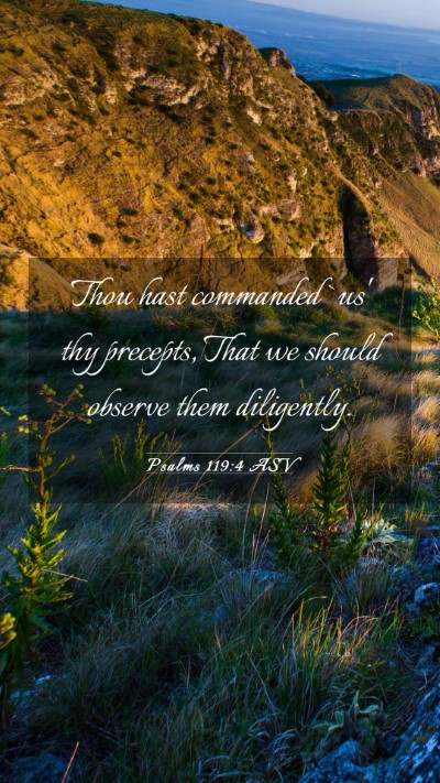 Picture 03 - Psalms 119:4 ASV Mobile Phone Wallpaper - Thou hast commanded `us' thy precepts, That we - Mobile Bible Verse Wallpaper