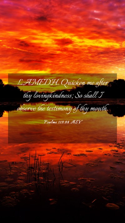 Picture 03 - Psalms 119:88 ASV Mobile Phone Wallpaper - LAMEDH. Quicken me after thy lovingkindness; So - Mobile Bible Verse Wallpaper