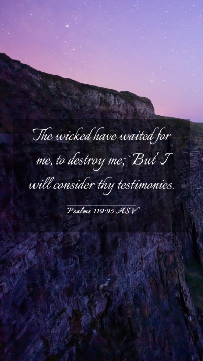 Picture 03 - Psalms 119:95 ASV Mobile Phone Wallpaper - The wicked have waited for me, to destroy me; - Mobile Bible Verse Wallpaper
