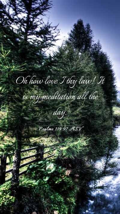 Picture 03 - Psalms 119:97 ASV Mobile Phone Wallpaper - Oh how love I thy law! It is my meditation all - Mobile Bible Verse Wallpaper