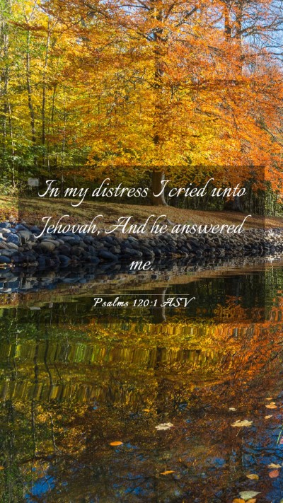 Picture 03 - Psalms 120:1 ASV Mobile Phone Wallpaper - In my distress I cried unto Jehovah, And he - Mobile Bible Verse Wallpaper