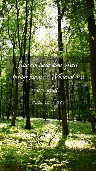 Picture 03 - Psalms 126:3 ASV Mobile Phone Wallpaper - Jehovah hath done great things for us, `Whereof' - Mobile Bible Verse Wallpaper