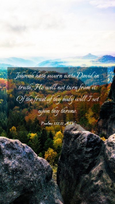 Picture 03 - Psalms 132:11 ASV Mobile Phone Wallpaper - Jehovah hath sworn unto David in truth; He will - Mobile Bible Verse Wallpaper