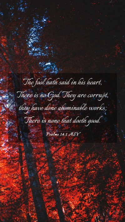 Picture 03 - Psalms 14:1 ASV Mobile Phone Wallpaper - The fool hath said in his heart, There is no God. - Mobile Bible Verse Wallpaper