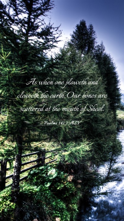 Picture 03 - Psalms 141:7 ASV Mobile Phone Wallpaper - As when one ploweth and cleaveth the earth, Our - Mobile Bible Verse Wallpaper