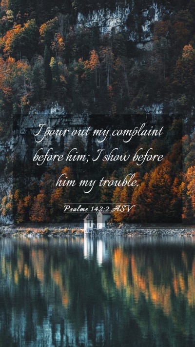 Picture 03 - Psalms 142:2 ASV Mobile Phone Wallpaper - I pour out my complaint before him; I show before - Mobile Bible Verse Wallpaper