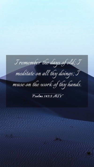 Picture 03 - Psalms 143:5 ASV Mobile Phone Wallpaper - I remember the days of old; I meditate on all thy - Mobile Bible Verse Wallpaper
