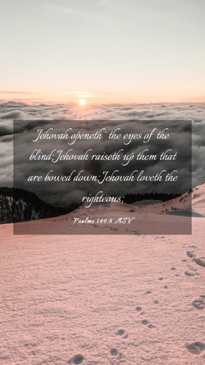 Picture 03 - Psalms 146:8 ASV Mobile Phone Wallpaper - Jehovah openeth `the eyes of' the blind; Jehovah - Mobile Bible Verse Wallpaper